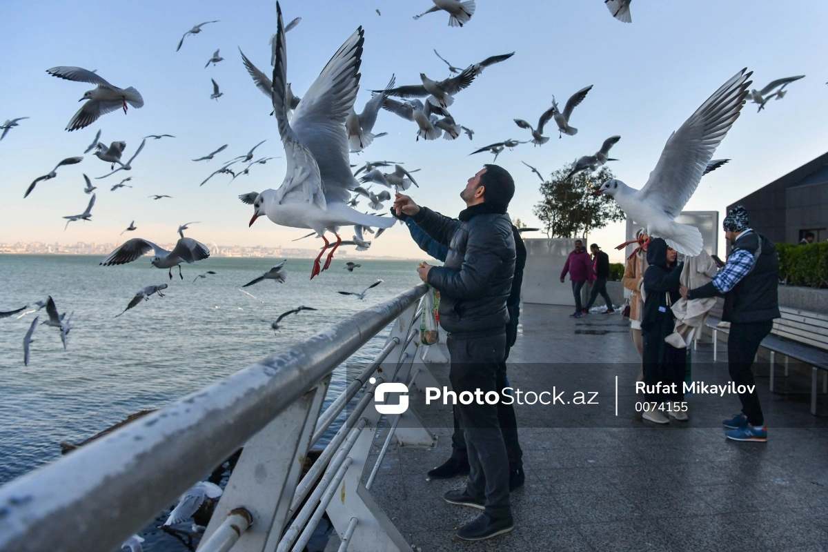 Martda 16 gün, apreldə bir həftə qeyri-iş günü: NECƏ QAZANAQ? - FOTO