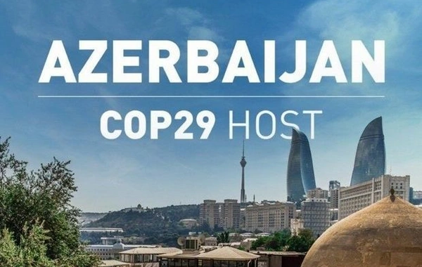 Депутат: На COP29 будут приняты важные решения