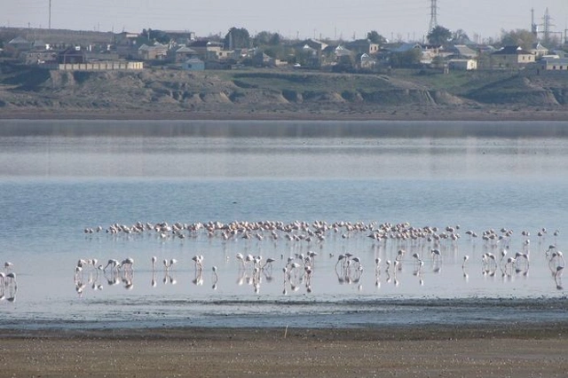 Правительству представлены предложения по восстановлению озера Гаджигабул