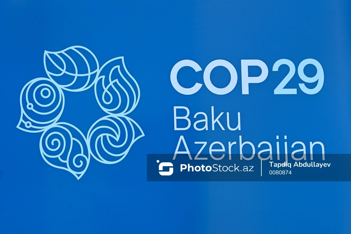 COP29-un loqosu təqdim edildi - YENİLƏNİB + VİDEO