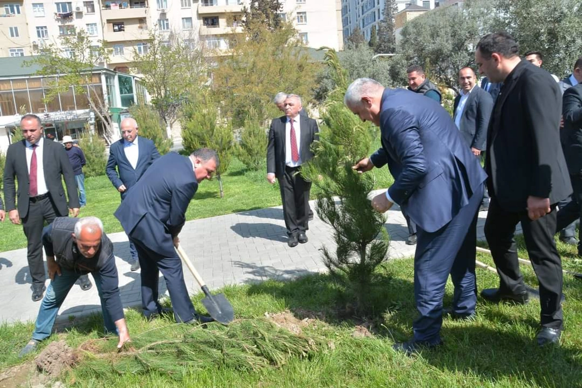 Xətai rayonunda “Yaşıl Dünya naminə həmrəylik ili” çərçivəsində növbəti ağacəkmə aksiyası keçirilib - FOTO