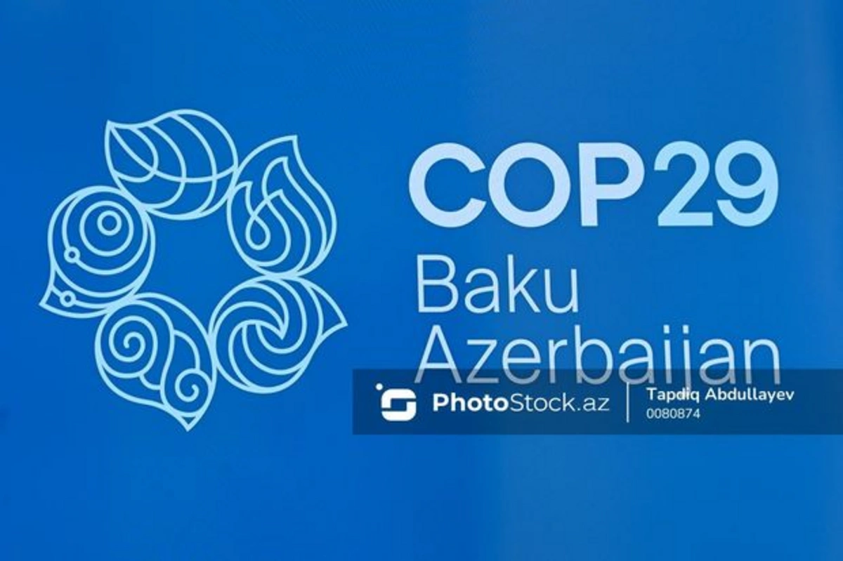 Ekspert: “COP29 hidrogen yanacaq elementləri üzrə əməkdaşlıq platformasına çevrilə bilər”