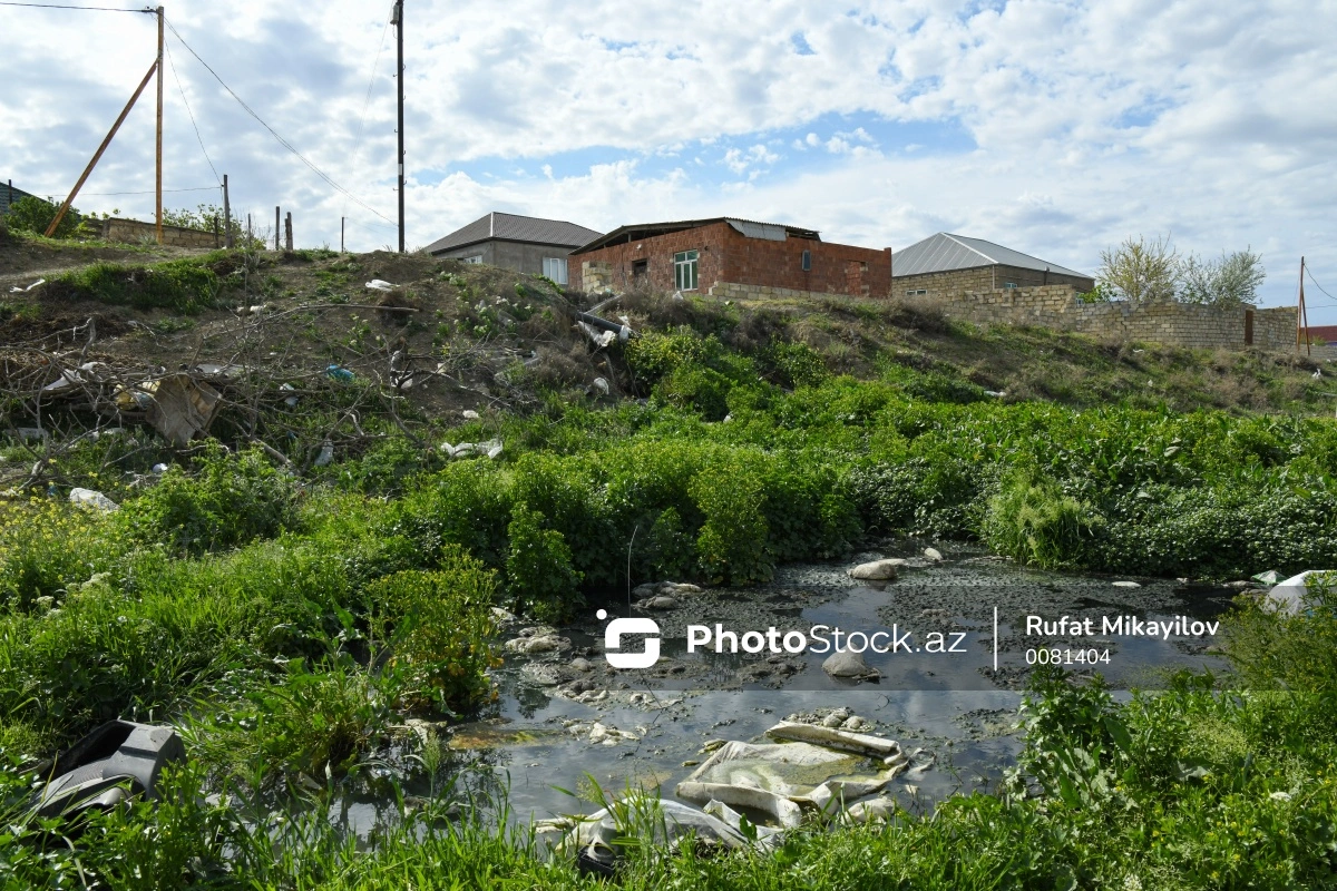 Aşağı Güzdəkdə kanalizasiya sularının yaratdığı süni göldən FOTOREPORTAJ