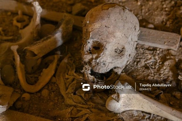 В Губадлы и Агдере обнаружены фрагменты костей - ОБНОВЛЕНО