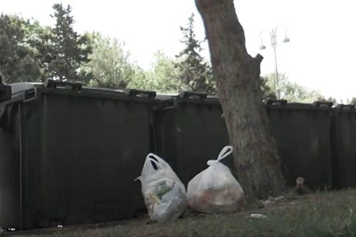 В некоторых частях Баку мусорные баки мешают движению на дорогах - ВИДЕО