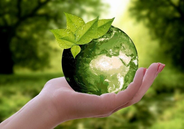 Экономист: COP29 положительно повлияет на привлечение "зеленых" финансов в Азербайджан