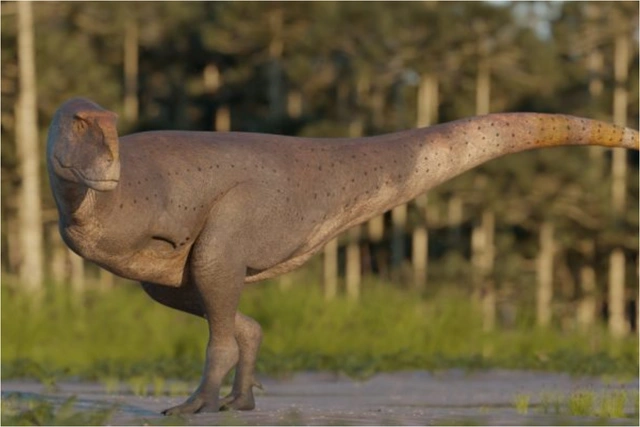 В Аргентине нашли новый вид плотоядного динозавра
