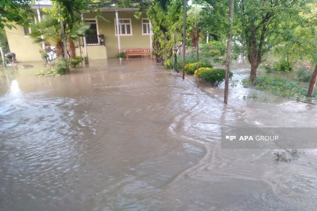 В Загатальском районе паводки затопили дворы около 250 домов