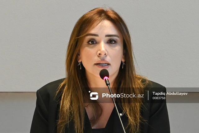 Лейла Бархударзаде: В Азербайджане будет создан новый сервисный портал