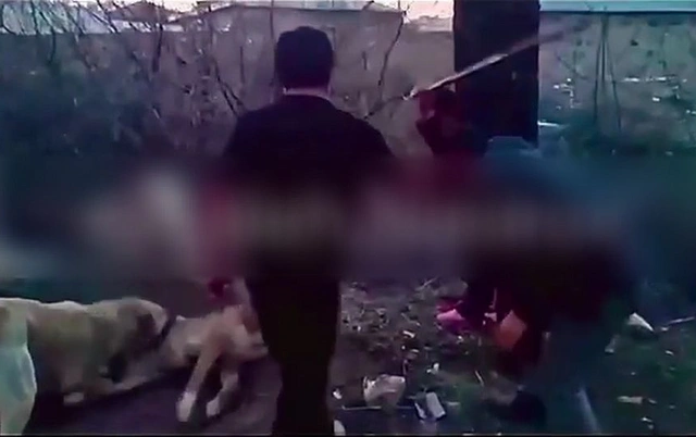 В НАР задержаны лица, жестоко обращавшиеся с собаками на глазах у детей