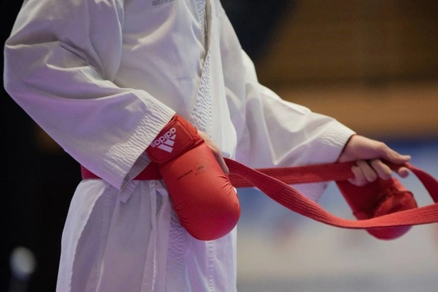 Занятия по карате могут внедрить в программу всех российских школ