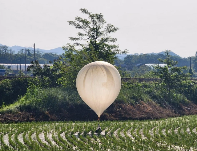 КНДР запустила на территорию Южной Кореи воздушные шары с мусором и навозом