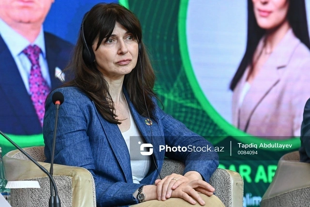 Резидент-координатор ООН: Есть страны, готовые учиться у Азербайджана достижению ЦУР
