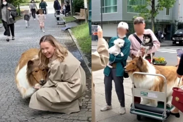 Японец, потративший 14 000 долларов на мечту стать собакой, хочет сменить породу