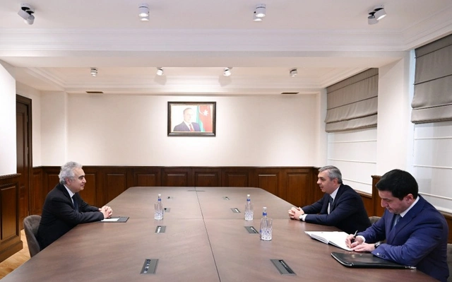 Глава Администрации Президента провел встречу с исполнительным директором МЭА