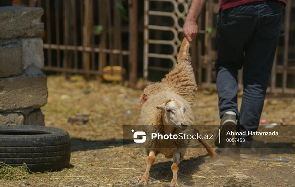 Borc pulla qurban kəsmək olarmı?