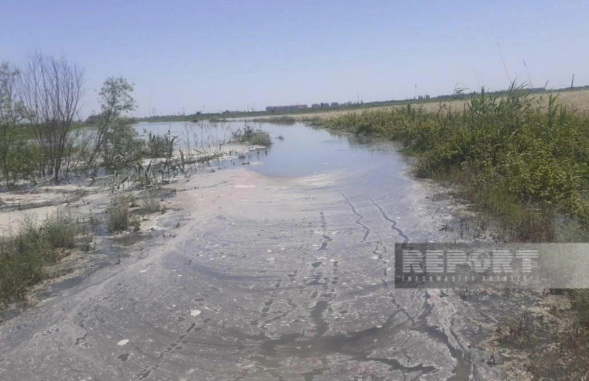 Yevlaxda Qarabağ kanalının bəndi dağılıb, sahələri su basıb