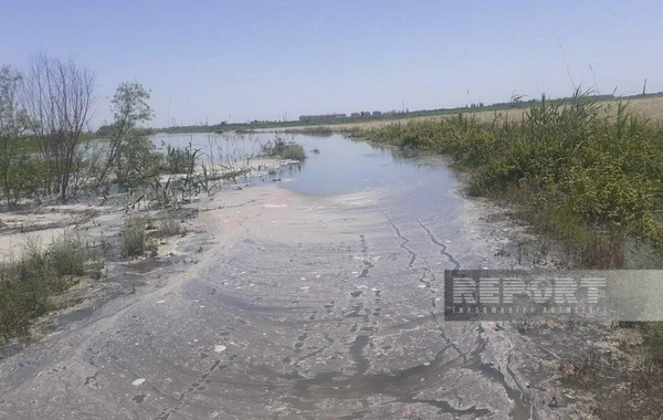 Yevlaxda Qarabağ kanalının bəndi dağılıb, sahələri su basıb