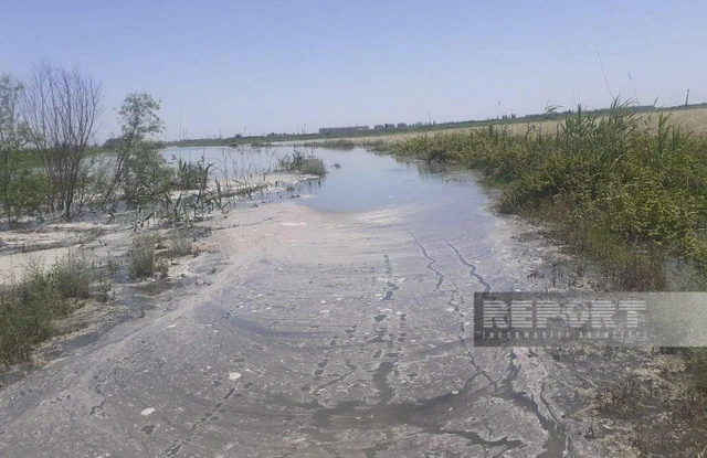 Yevlaxda Qarabağ kanalının bəndi dağılıb, sahələri su basıb