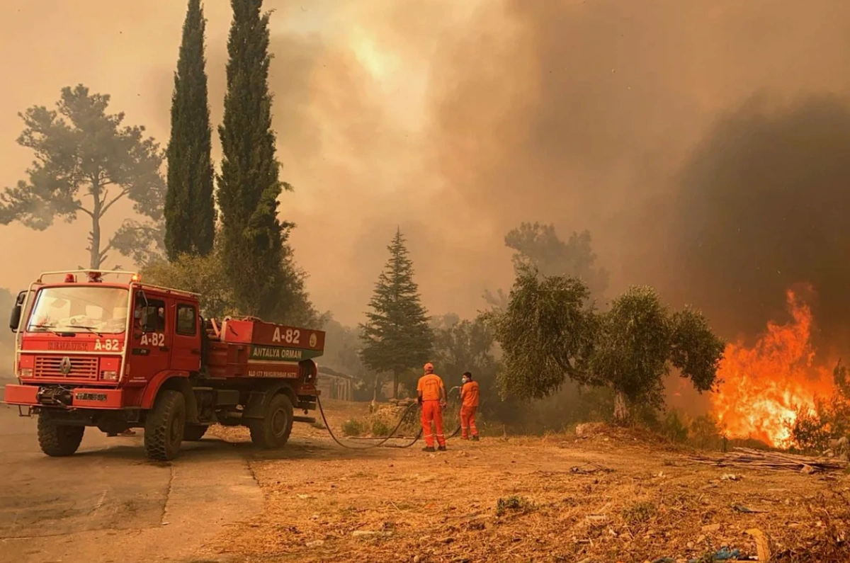 В Турции начались лесные пожары