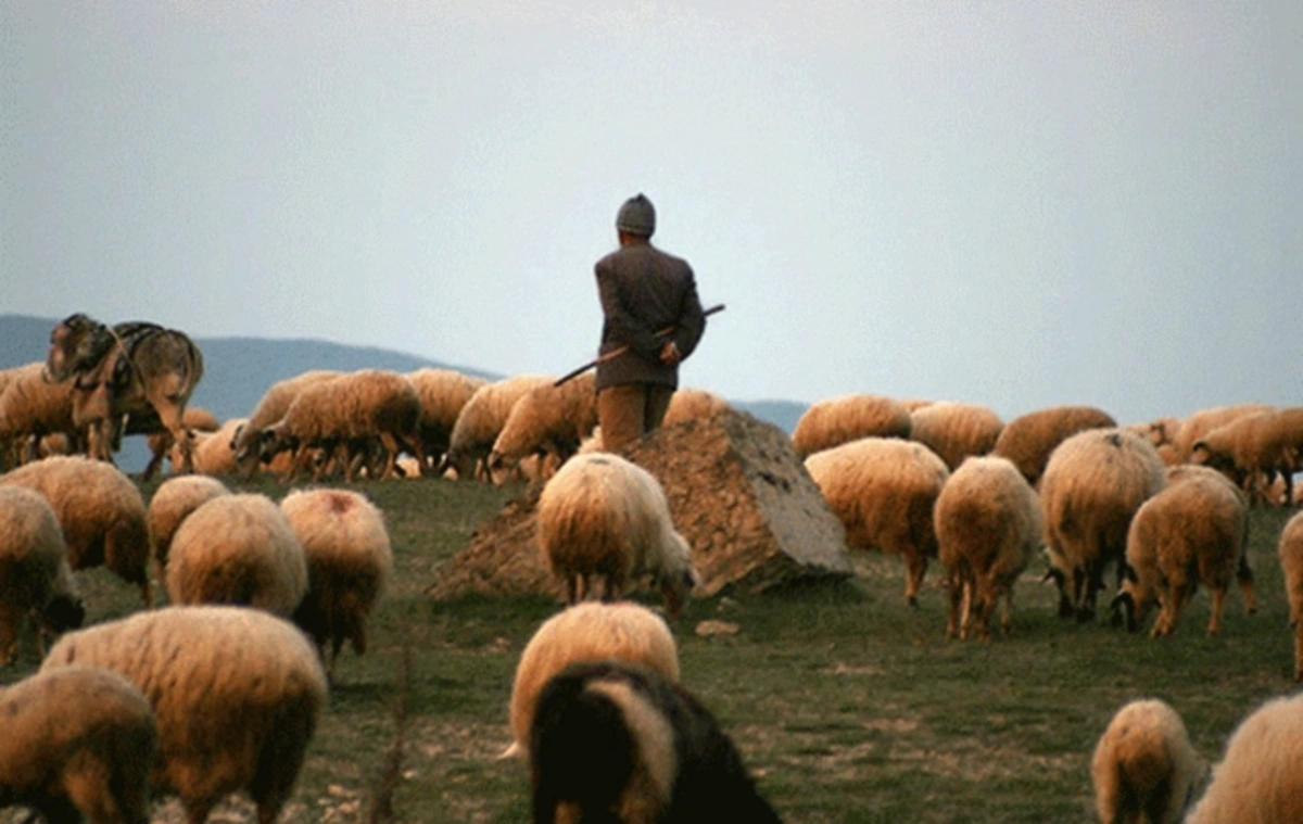 В Огузском районе пастуха обнаружили мертвым