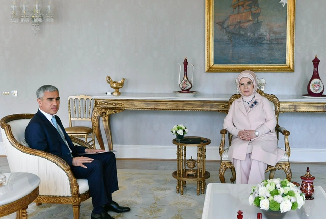 Помощник Президента Азербайджана встретился с первой леди Турции
