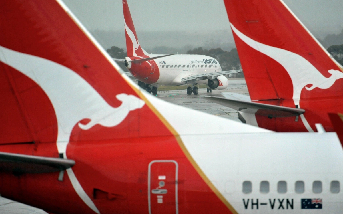 В Австралии самолет экстренно приземлился из-за столкновения с птицей