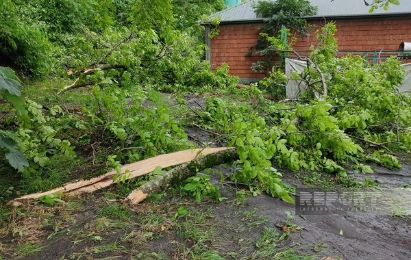 В Загатальском районе паводковые воды нанесли ущерб фермам