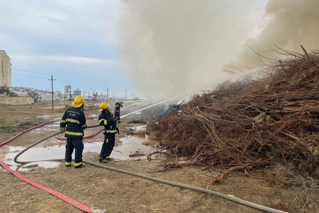 Пожар на открытой местности вблизи моря в Баку локализован