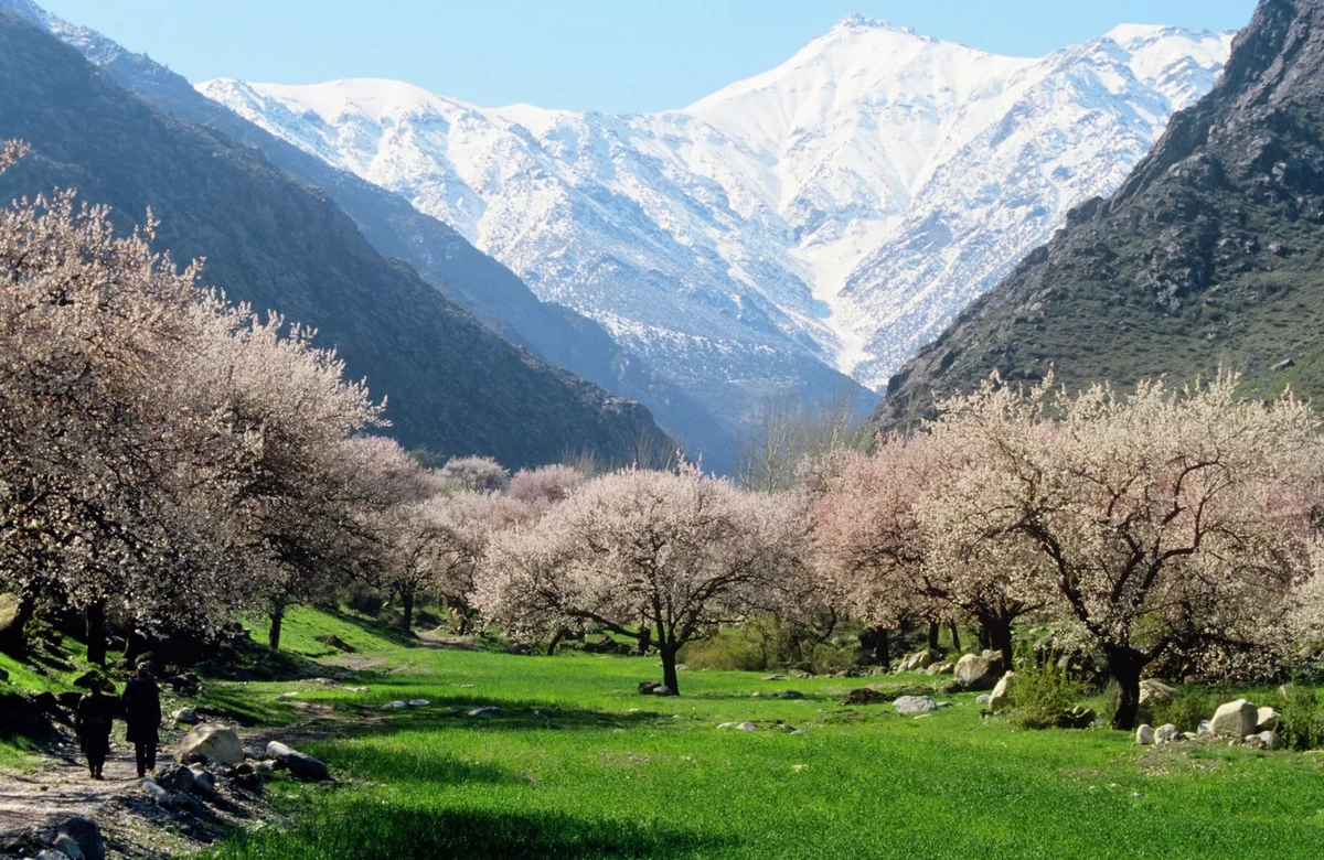 Tacikistanla Azərbaycan dostluq bağları yaradacaqlar