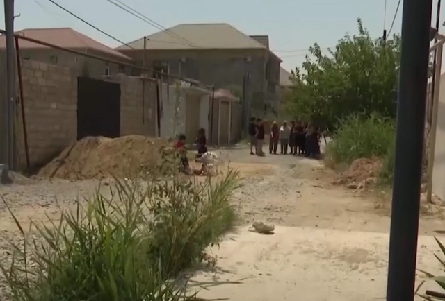 Кошмар в бакинском поселке: из каждого двора выползают змеи