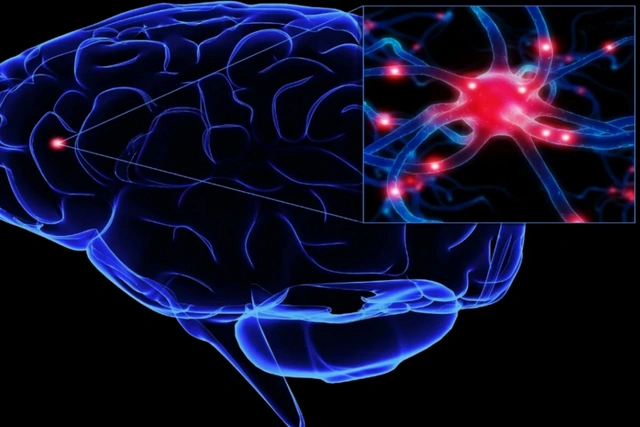 Ученые приблизились к расшифровке мыслей и снов человека через активность мозга
