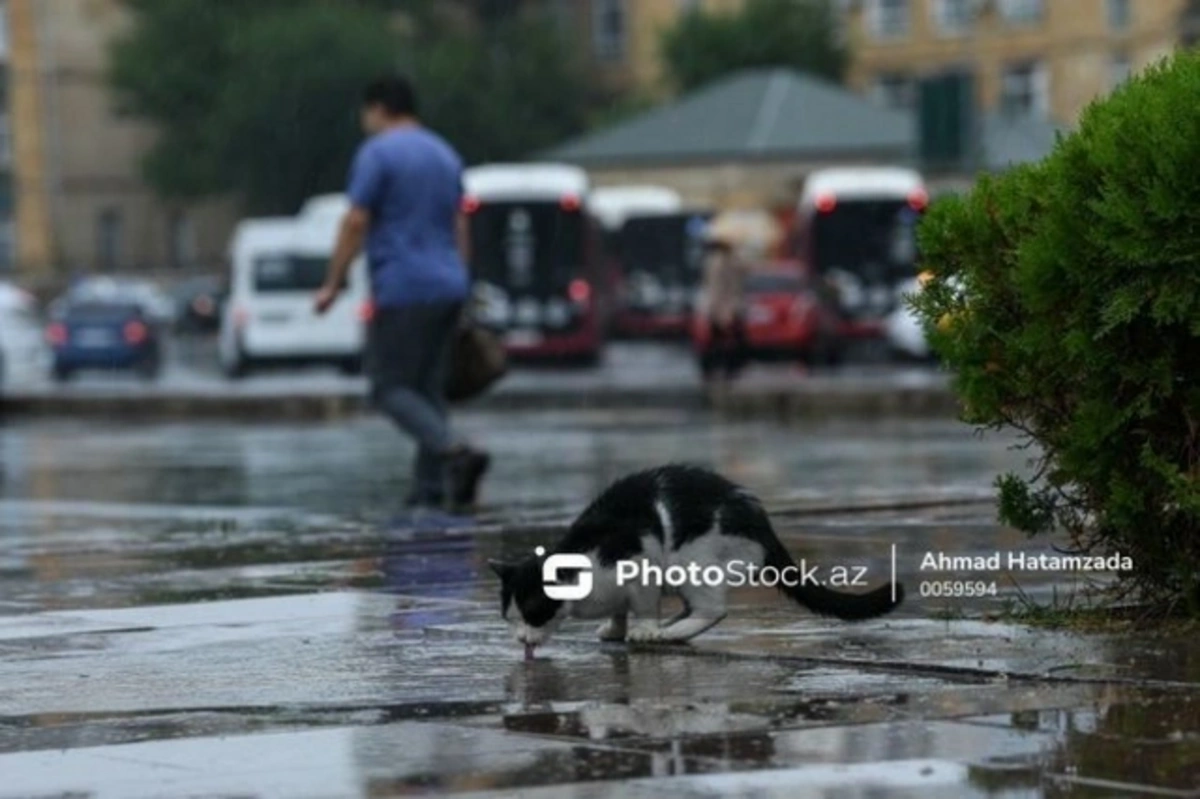 Bakıda və rayonlarda yağış yağacaq, şimşək çaxacaq