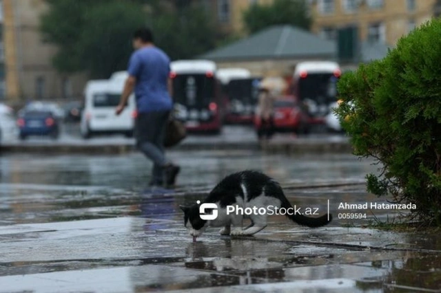 В Баку и регионах пройдут дожди и грозы