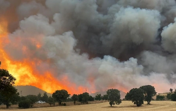 Крупный лесной пожар в турецкой Чанаккале взят под контроль