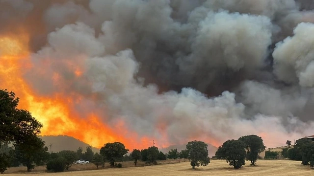 Крупный лесной пожар в турецкой Чанаккале взят под контроль