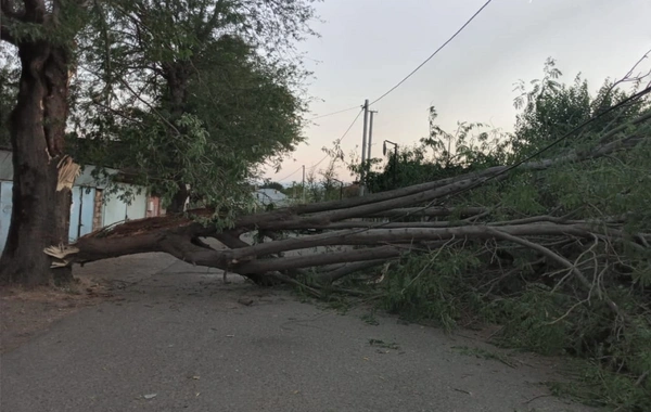 Azərbaycanda güclü külək həyatı iflic etdi: Bir çox yer işıqsız qaldı, ölən və xəsarət alanlar var