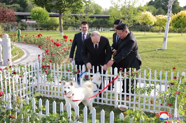 Ким Чен Ын подарил Путину двух охотничьих собак