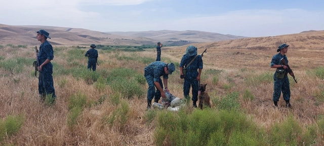ГПС пресечена контрабанда более 11 кг наркотиков из Ирана в Азербайджан