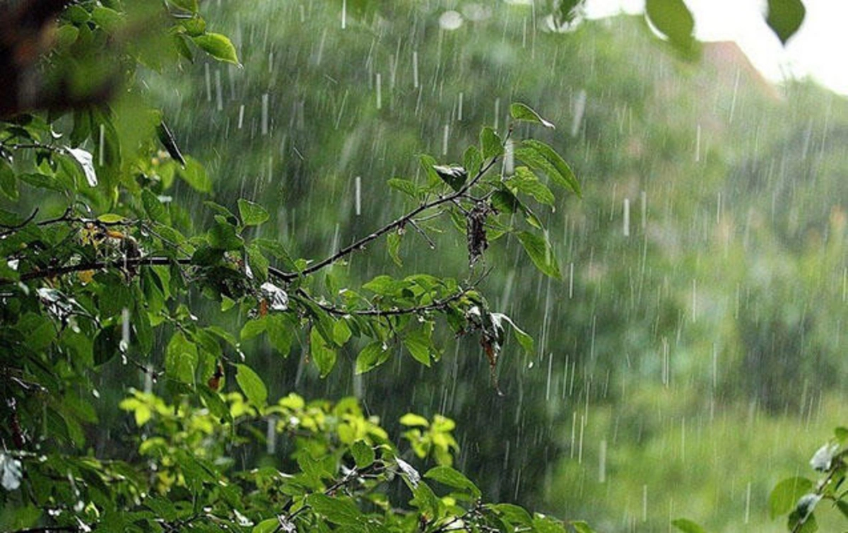 Hidrometeorologiya Xidmətindən vətəndaşlara hava məlumatları ilə bağlı ÇAĞIRIŞ