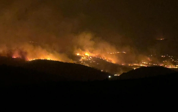 Лесной пожар в Турции унес жизни 5 человек: есть и пострадавшие