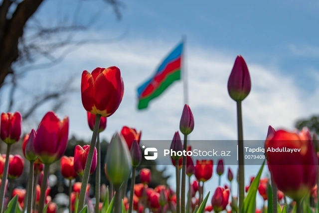 Какая погода ожидается в Азербайджане в выходной день?