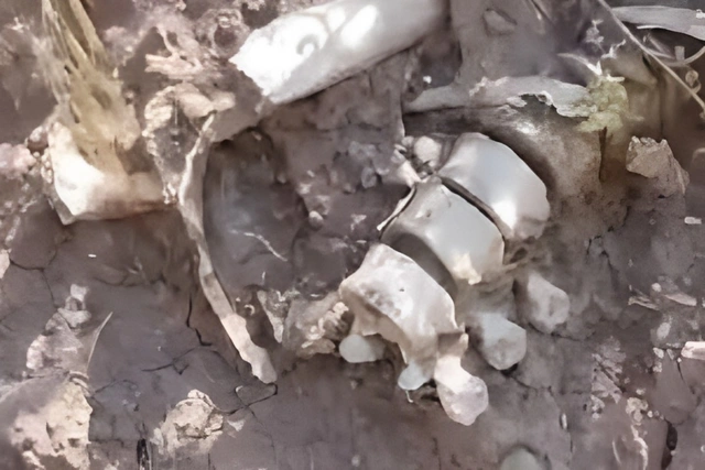 Во время строительства дороги в Лачыне обнаружили человеческие останки