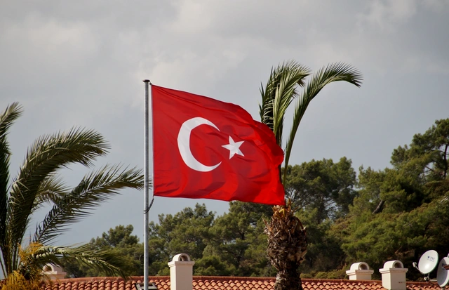 Постпредство Турции: Реформа ООН необходима как никогда
