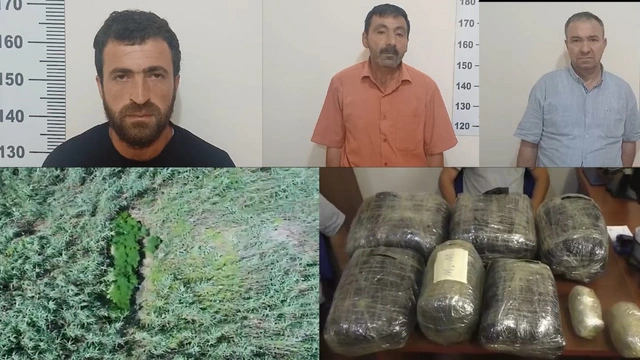 В Евлахском районе задержаны подозреваемые в культивации наркосодержащих растений