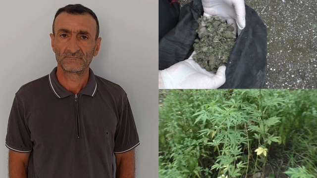 Конопля вместо хлеба: астаринская полиция обнаружила в тандырной наркотик