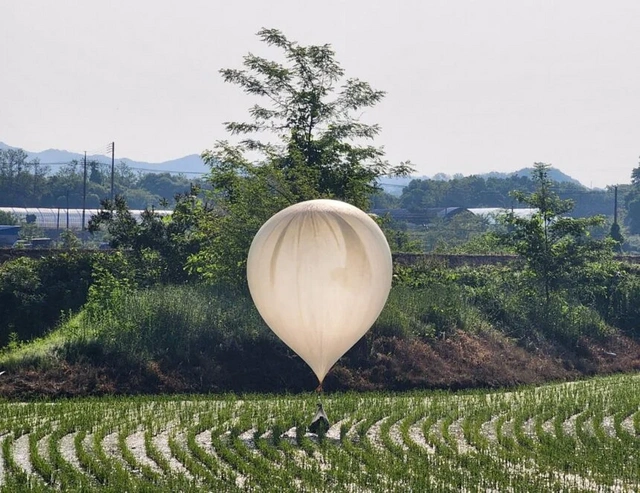 Аэропорт Сеула отложил рейсы из-за воздушных шаров с мусором из КНДР