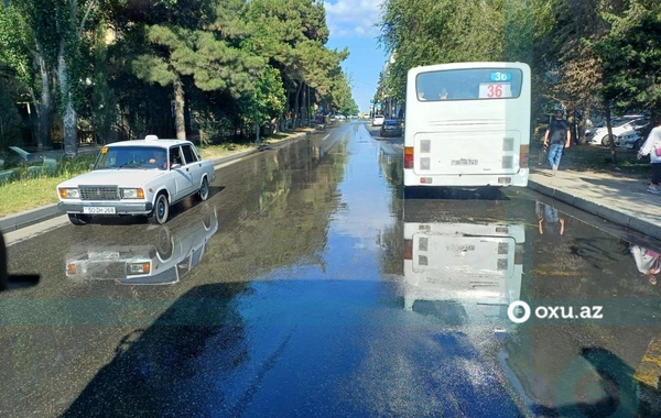 Bakıda ağacları sulayanlar küçəni gölə çevirdilər