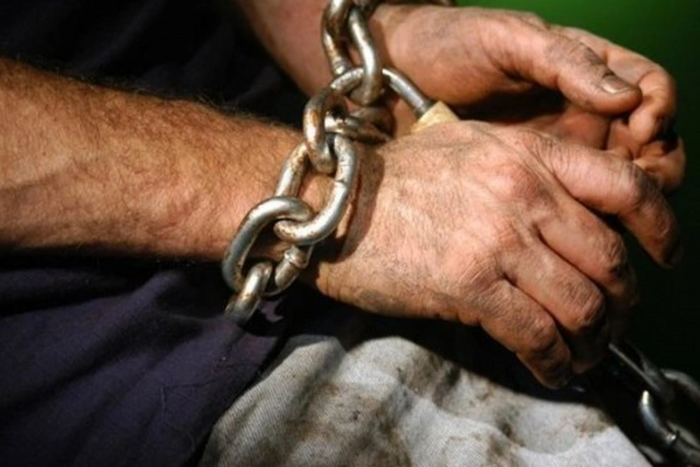 В Румынии фермер держал в рабстве шестерых взрослых и ребенка