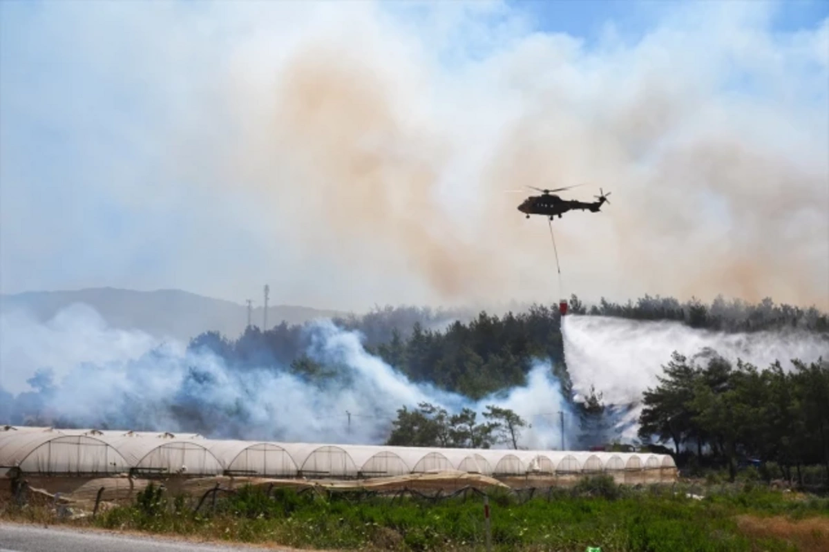 ВС Турции тушат лесной пожар